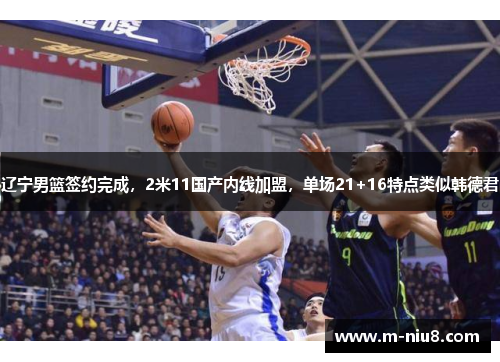 辽宁男篮签约完成，2米11国产内线加盟，单场21+16特点类似韩德君